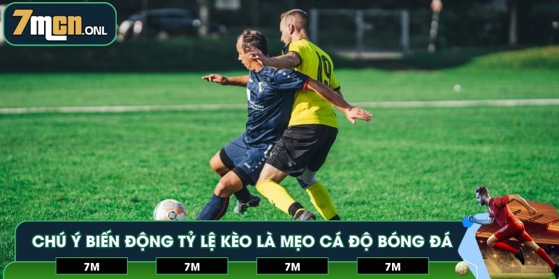 Chú ý biến động tỷ lệ kèo là mẹo cá độ bóng đá không thua