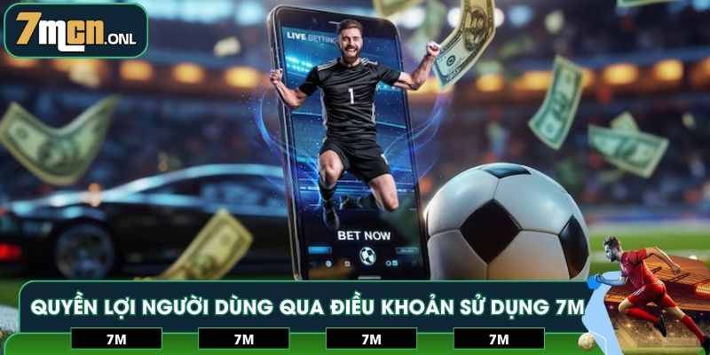 Quyền lợi của người dùng qua điều khoản sử dụng 7M