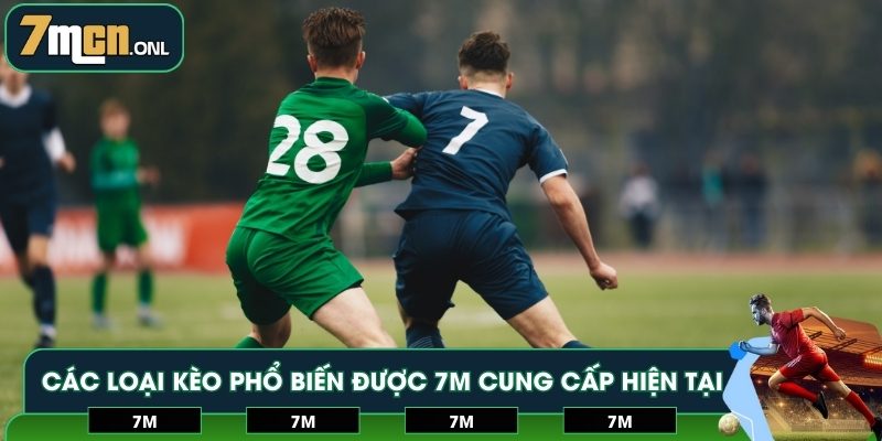 Các loại kèo phổ biến được 7M cung cấp hiện tại